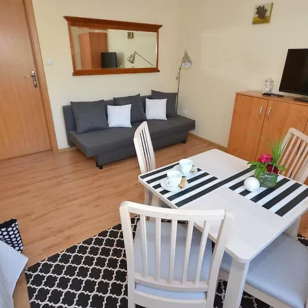 Pasat ホームステイ